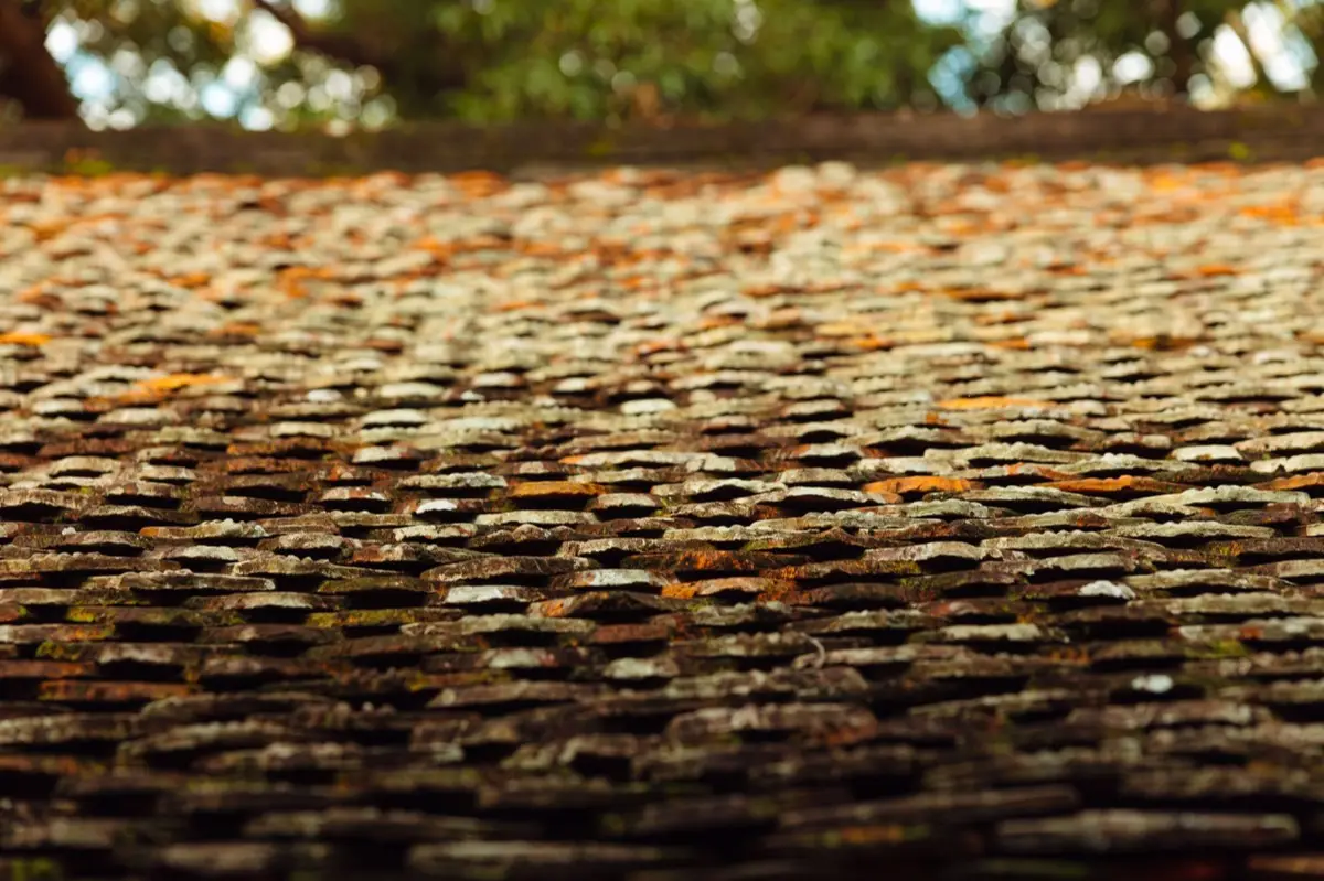 Aging shingle roof with moss growth and granule loss in Salina, KS